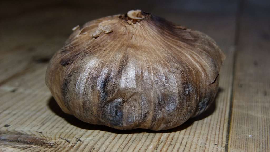 Ilustrasi Black Garlic