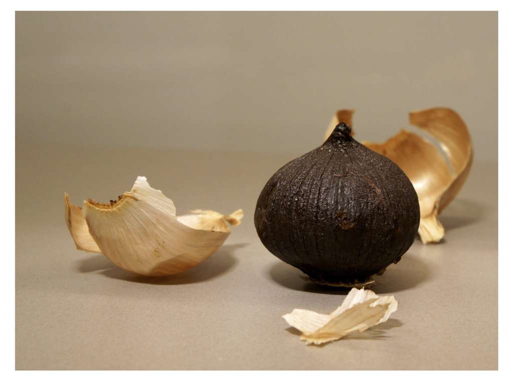 Ilustrasi Black Garlic Lanang