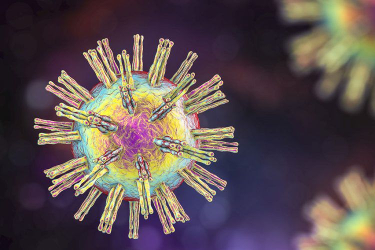 Ilustrasi Virus Herpes