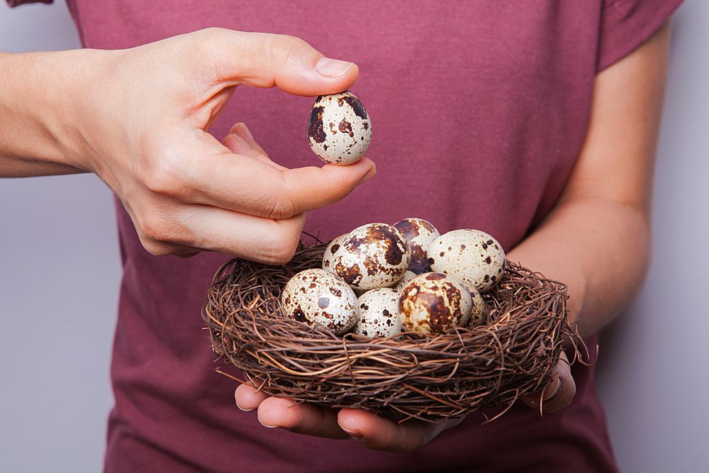 10 Manfaat Telur Puyuh untuk Kesehatan, Cocok Buat yang Alergi Telur Ayam