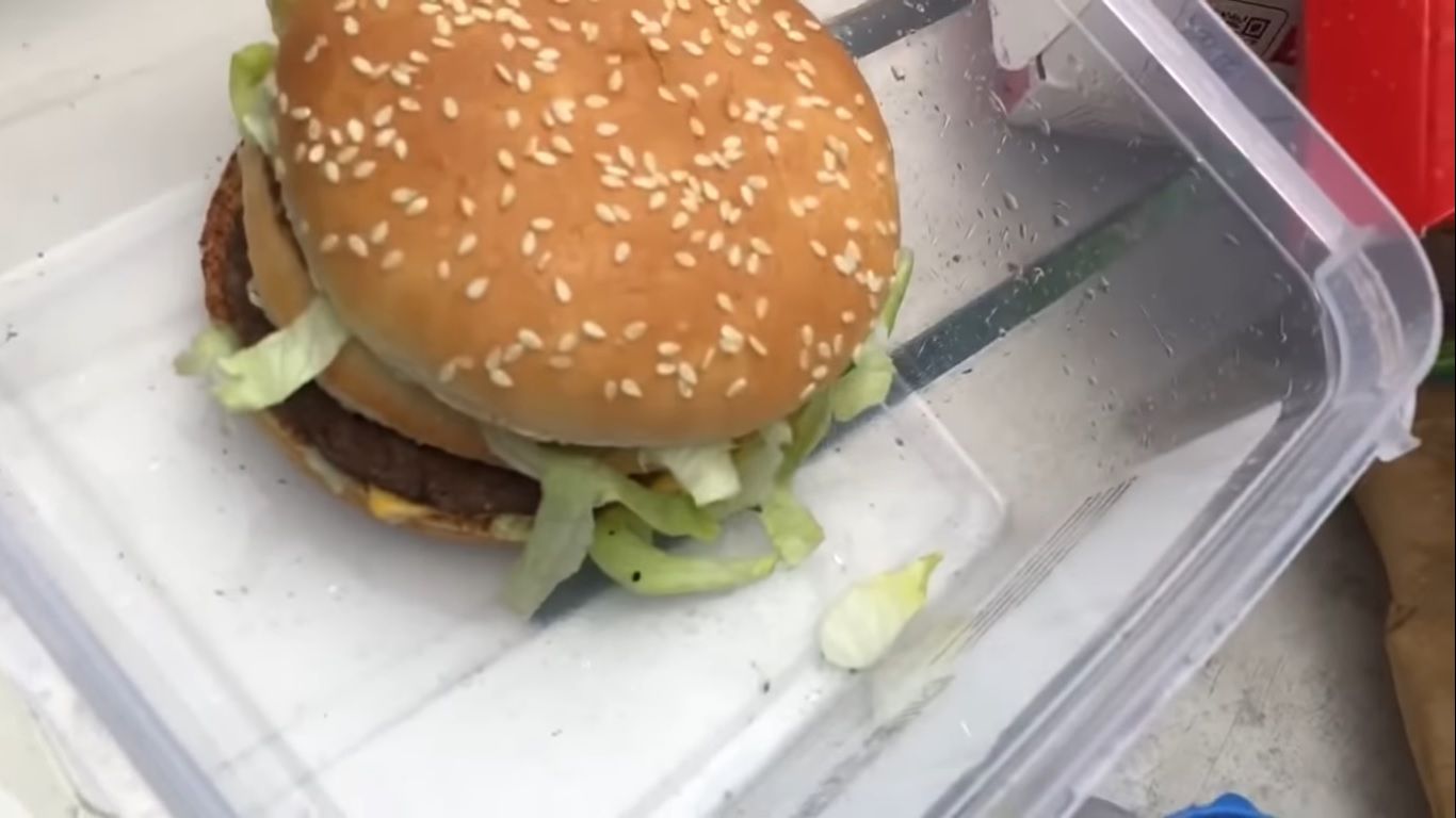 McDonald yang Dikubur Selama Setahun
