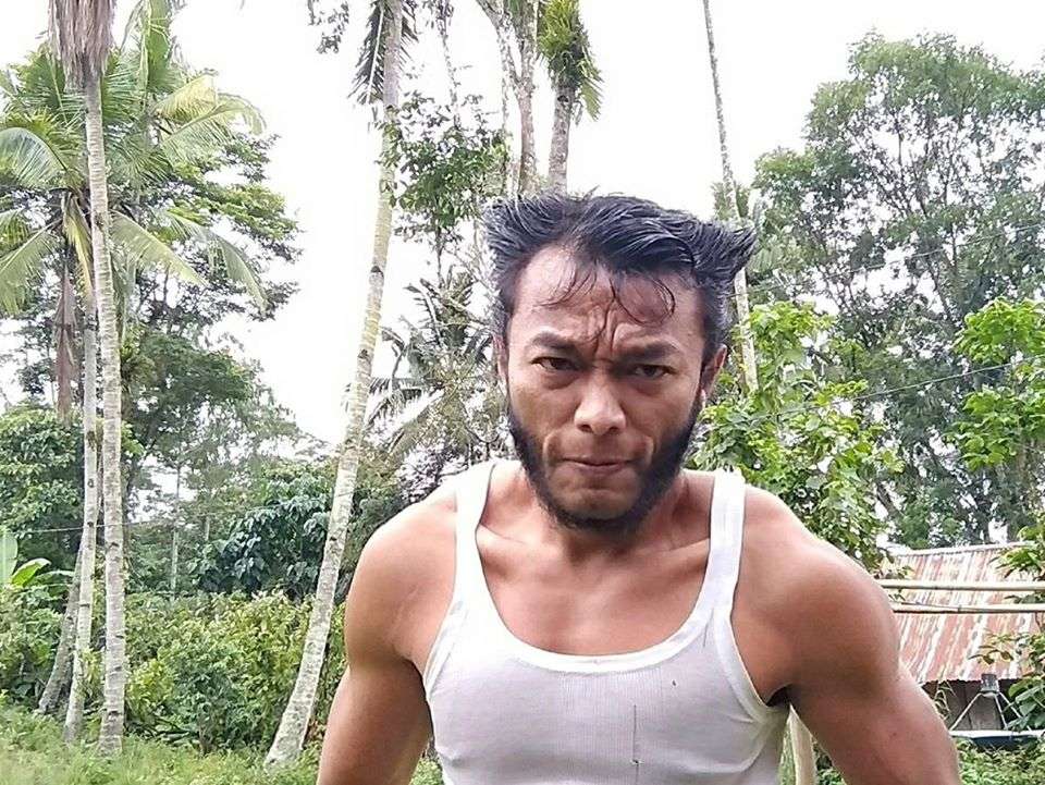 Wolverine