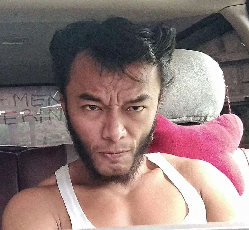 Wolverine