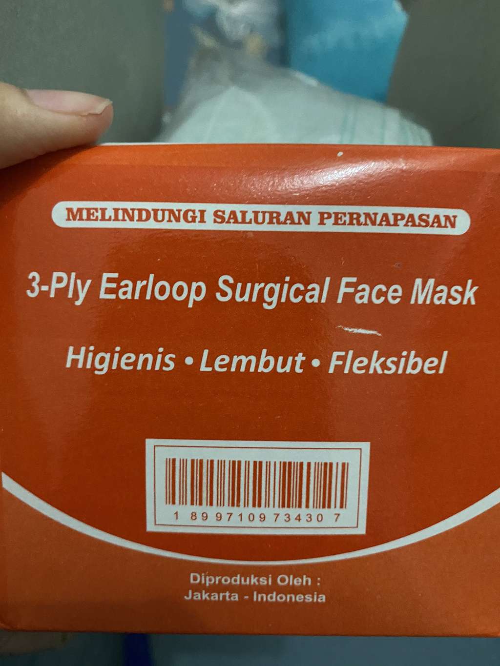 Masker Abal-abal