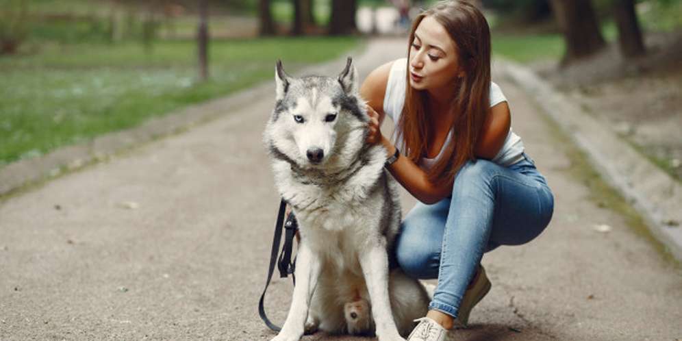 Ilustrasi Perempuan Pencinta Anjing