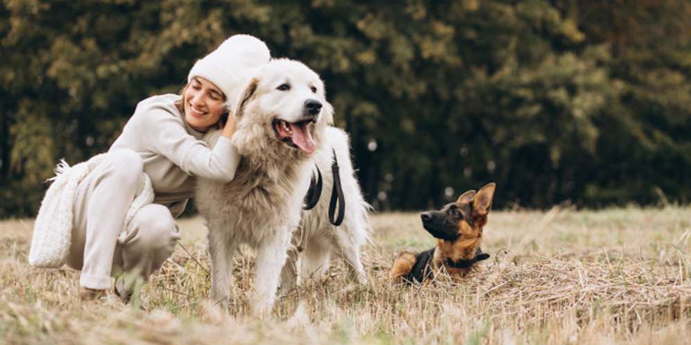 Ilustrasi Perempuan Pencinta Anjing