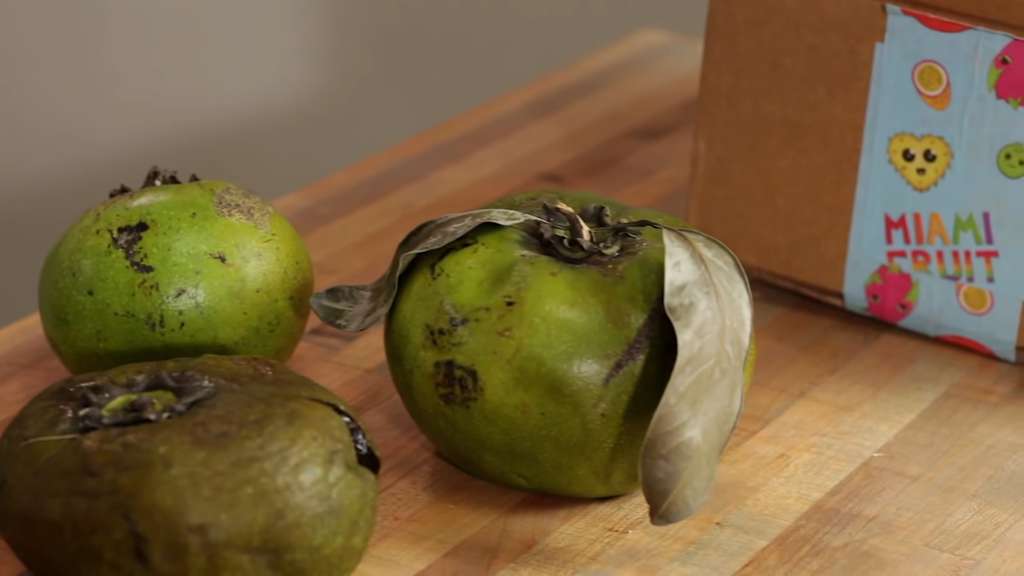 Black Sapote