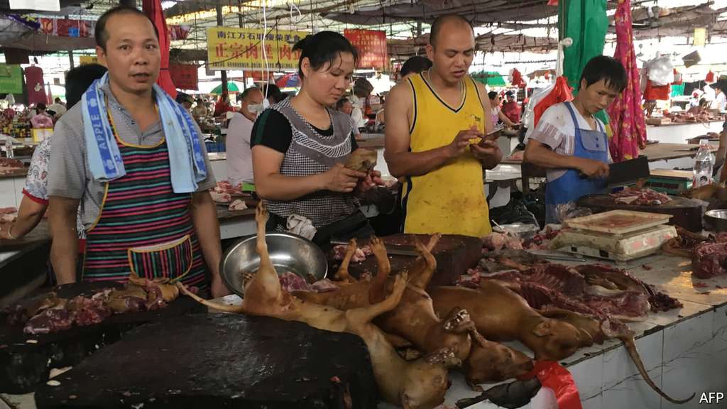 Pedagang Daging Anjing