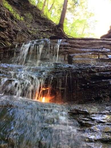 Chesnut Ridge Park, Amerika Serikat