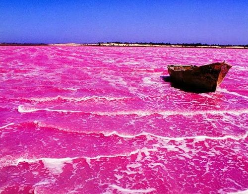 Danau Pink Australia
