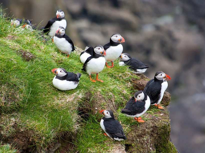 Kepulauan Faroe