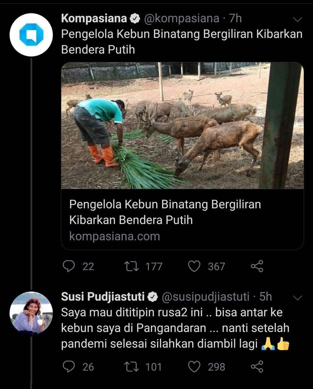 Bu Susi Menolong Rusa