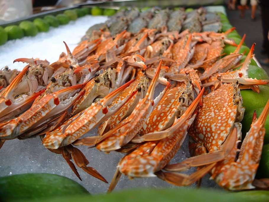 Cara Membersihkan Kepiting