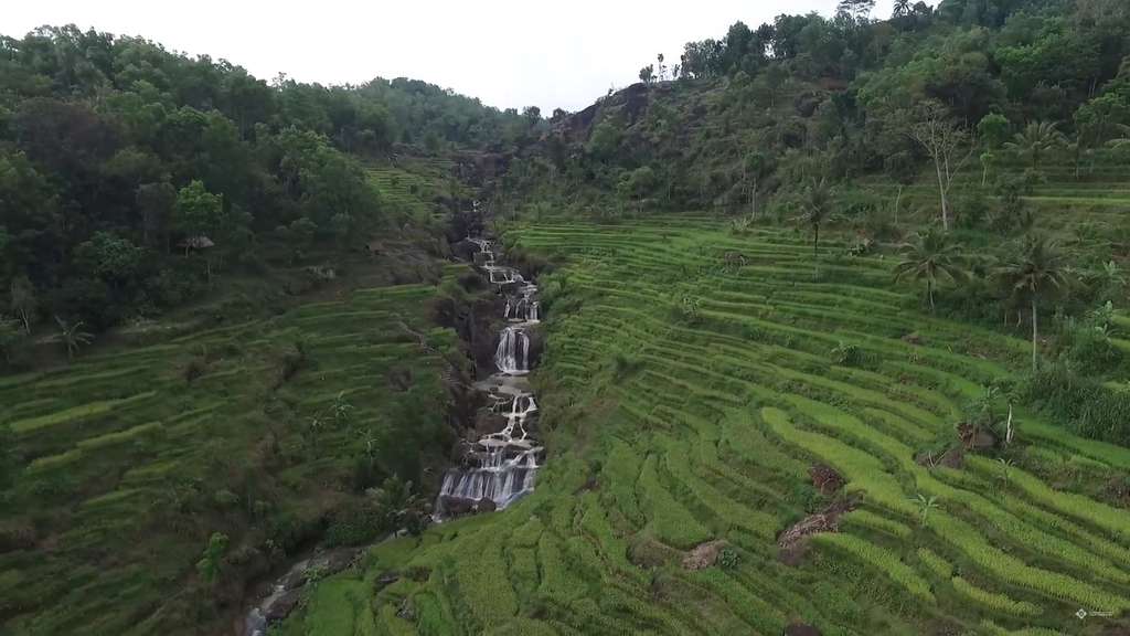 Air Terjun Kedung Kandang