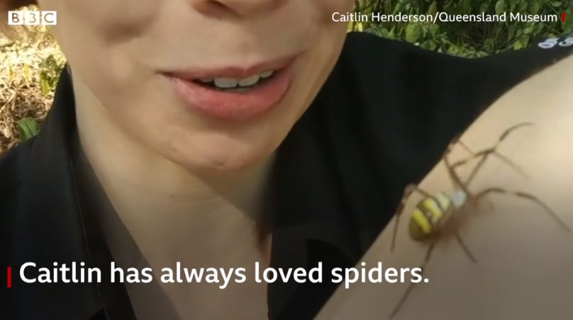 Caitlin Henderson dan laba-labanya