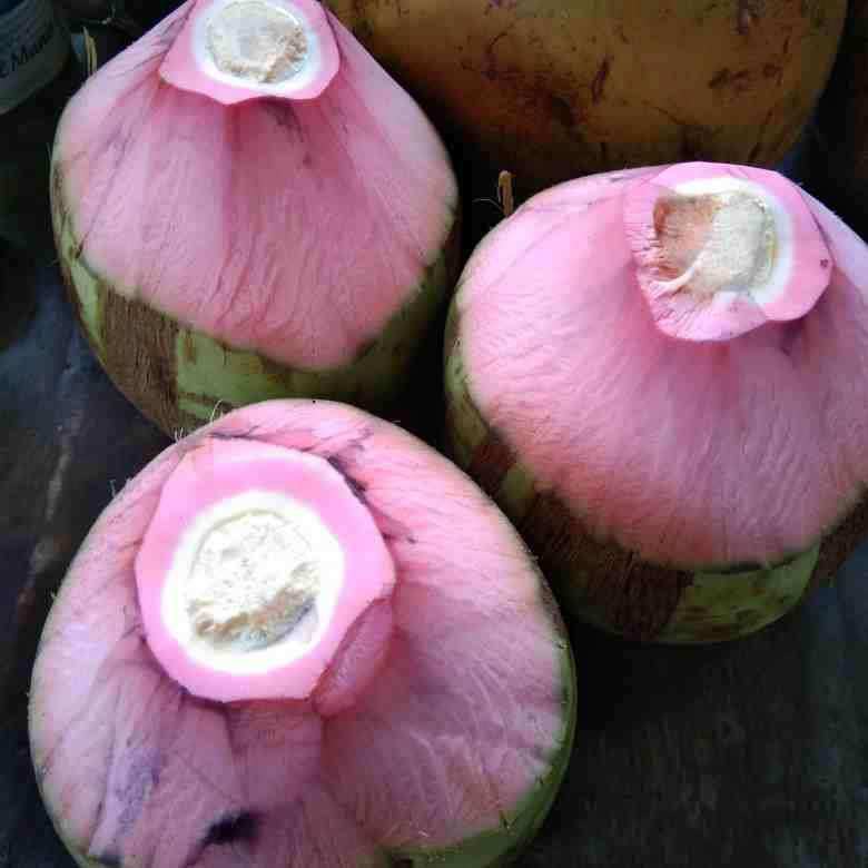 Kelapa Wulung