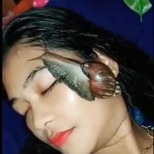 Wanita menempelkan siput asli di wajah