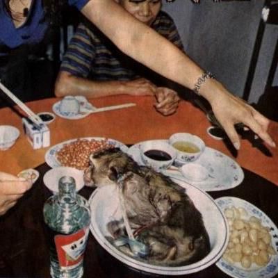 Kuliner Khas China Otak Monyet Segar