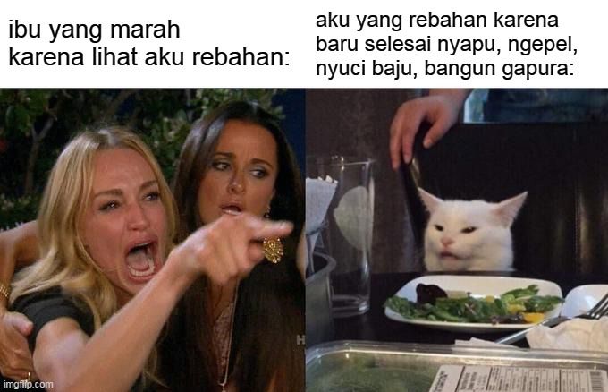 Contoh Meme Perempuan Bentak Kucing