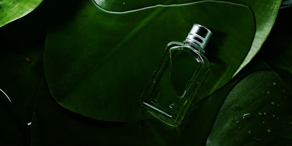 Ilustrasi Parfum Beraroma Dedaunan