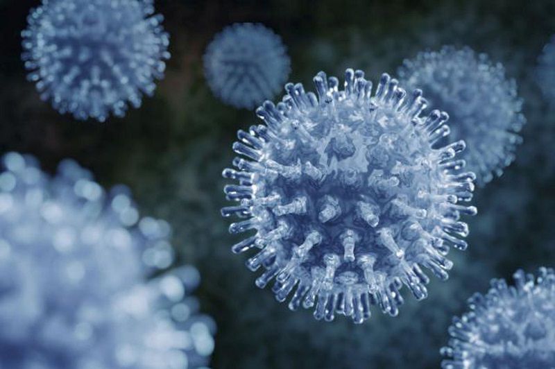 Virus Penyebab Influenza