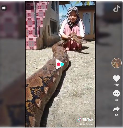 Gadis pelihara ular