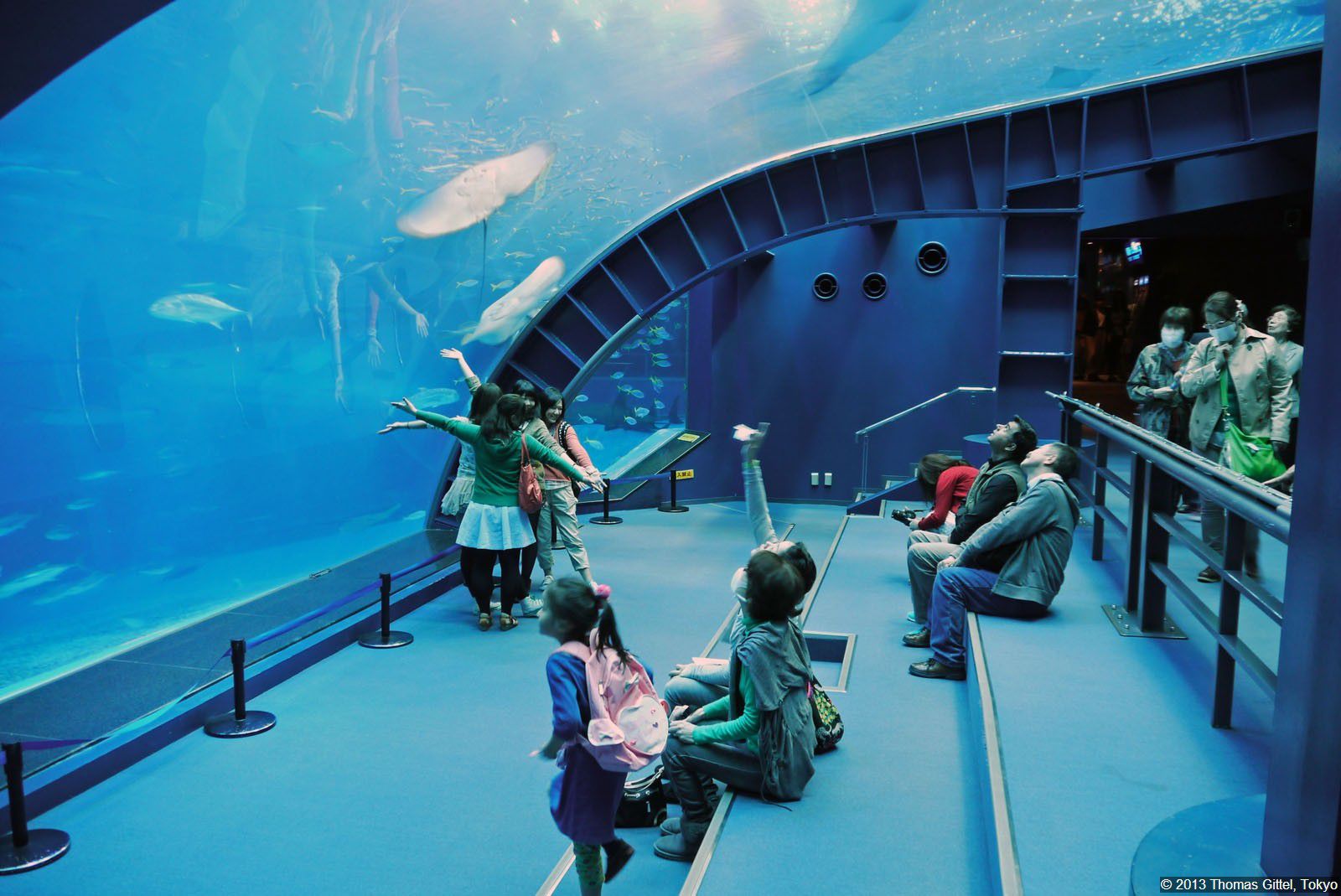 Churaumi Aquarium Okinawa