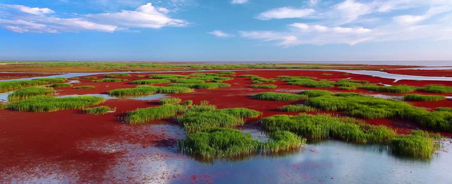 Pantai Merah Panjin