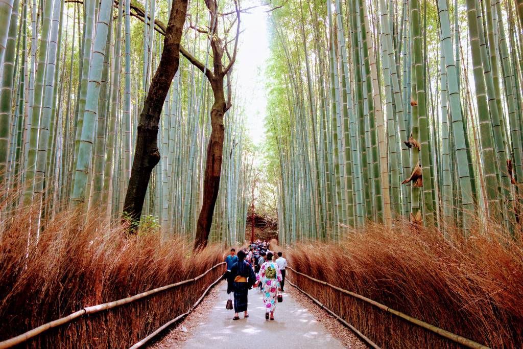 Hutan Bambu Arashiyama