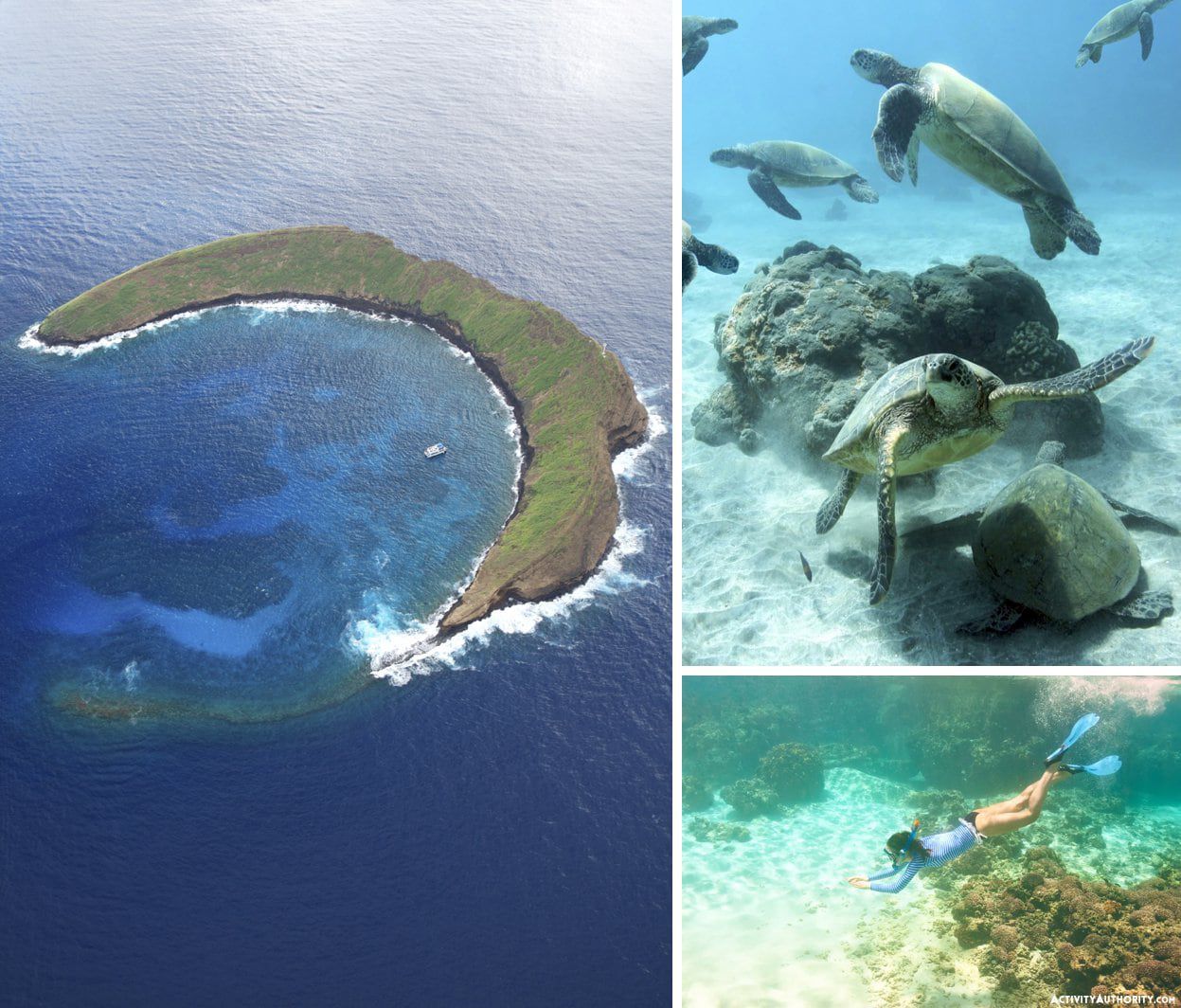 Pulau Molokini