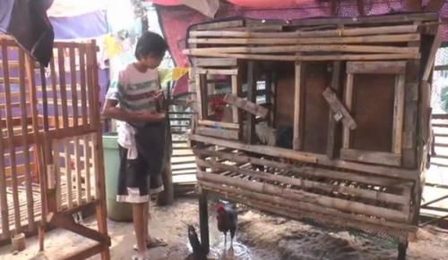 Satu Keluarga di Cilegon Tinggal di Gubug Bersama Kandang Ayam