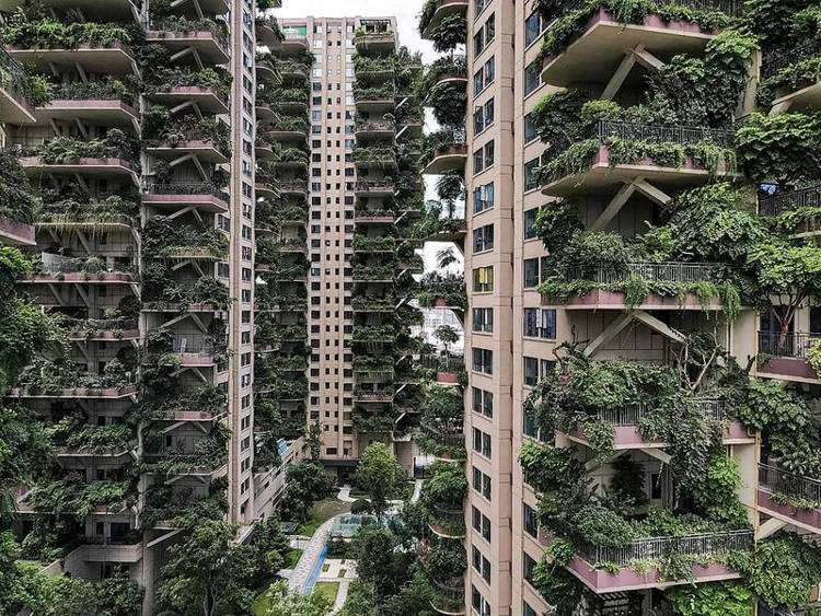 Vertical Forest Chengdu