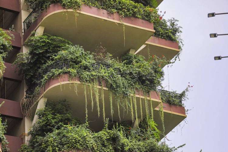 Vertical Forest Chengdu