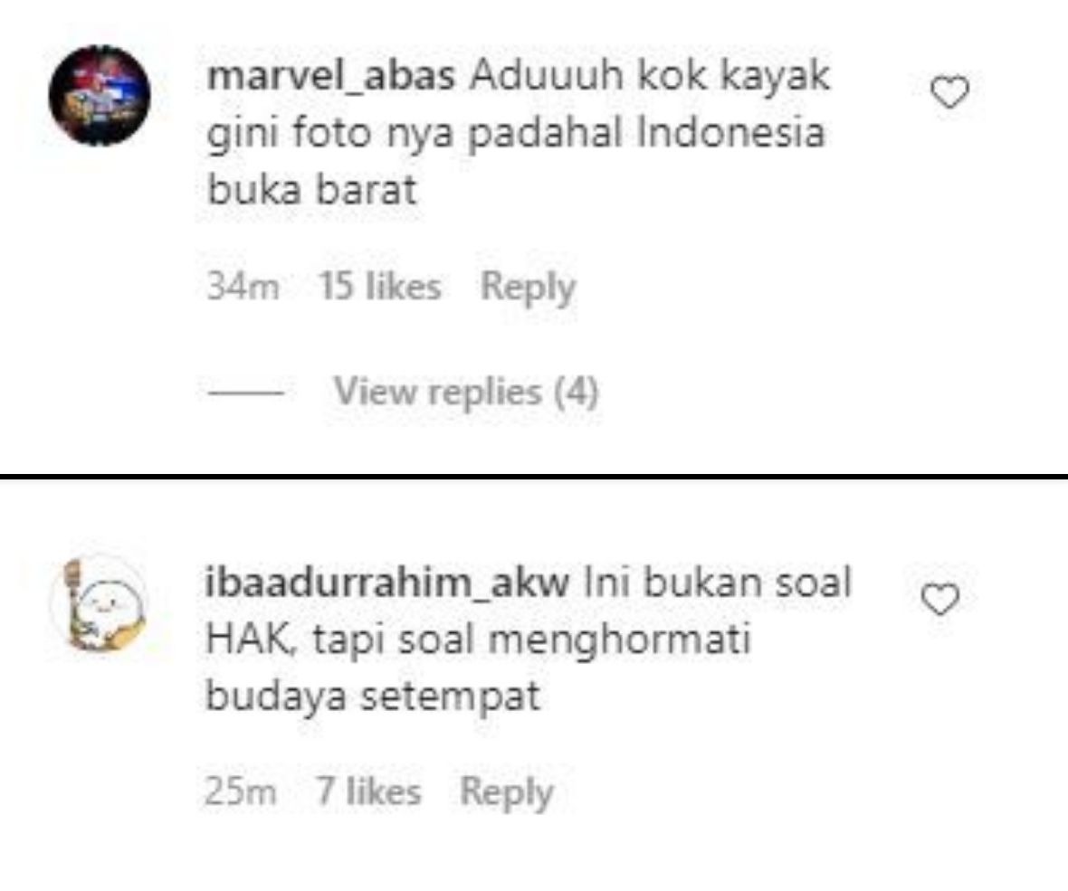 Komentar Netizen di Instagram Shandy Aulia