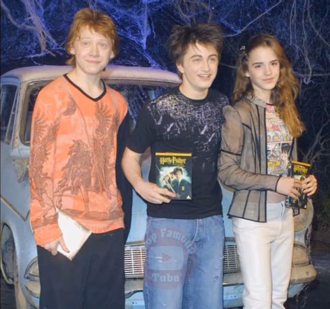 Potret Daniel Radcliffe Harry Potter