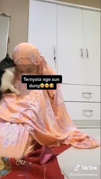 Kucing Uwu