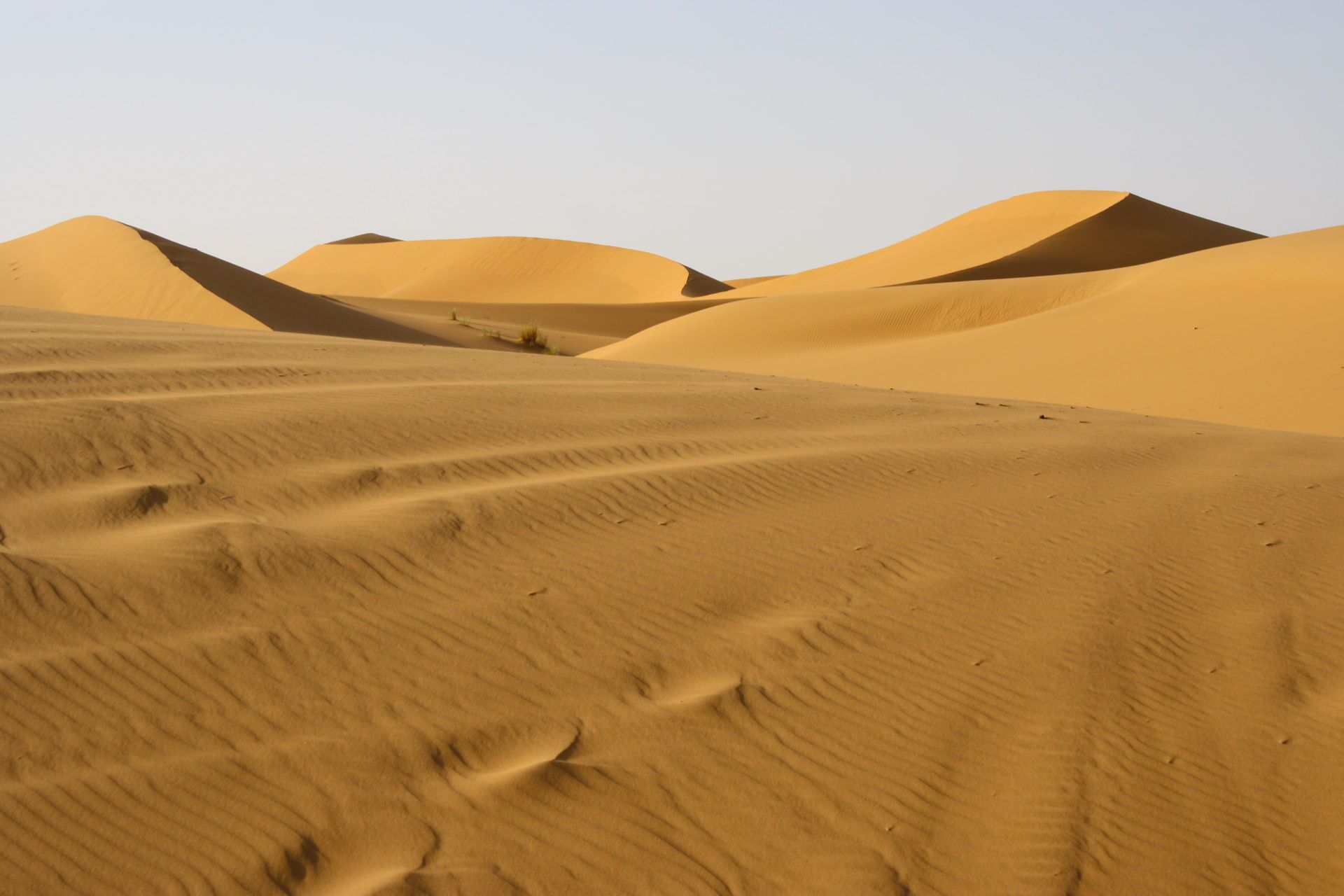 Gurun Sahara