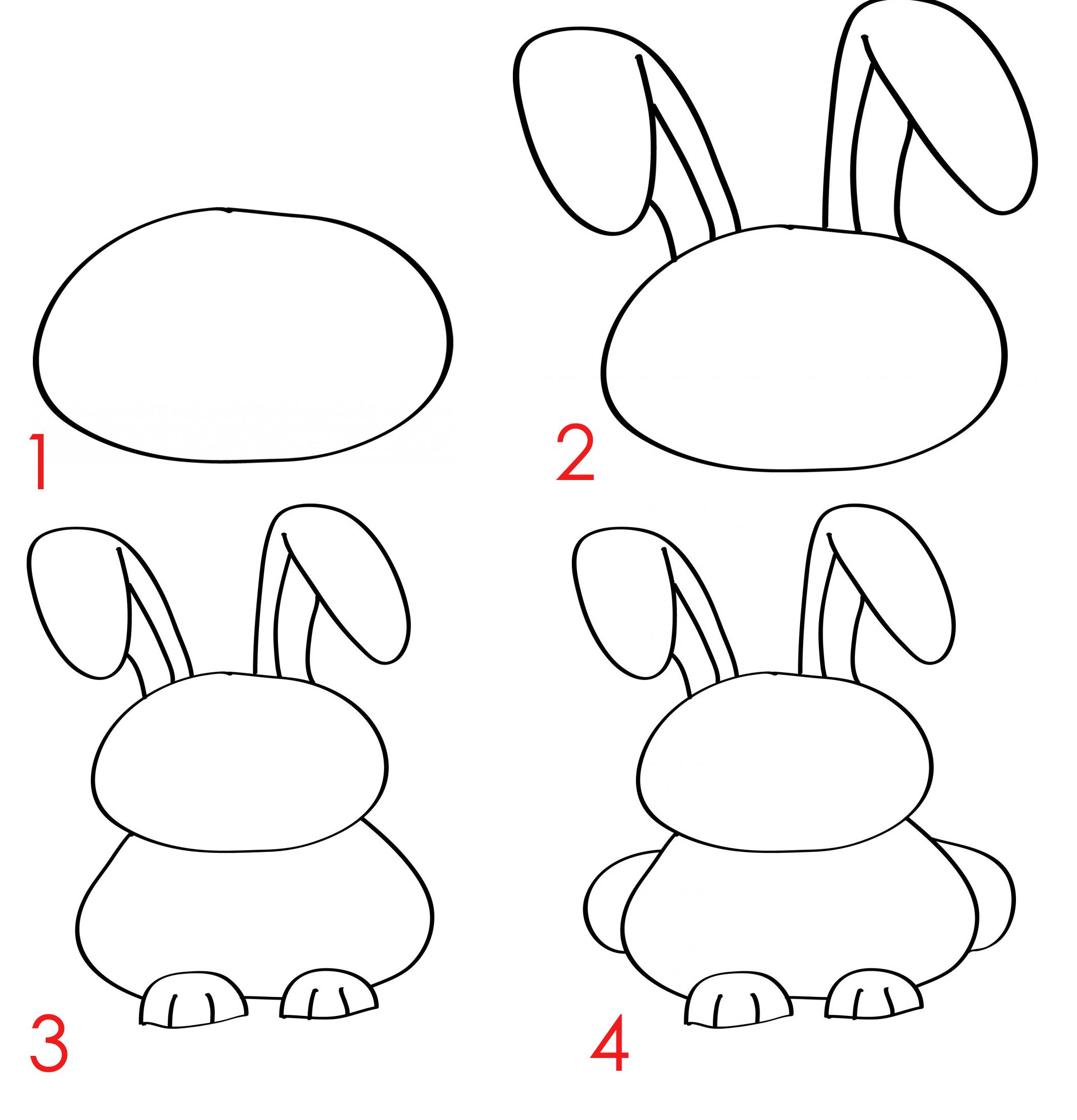 Cara Menggambar Binatang Kelinci