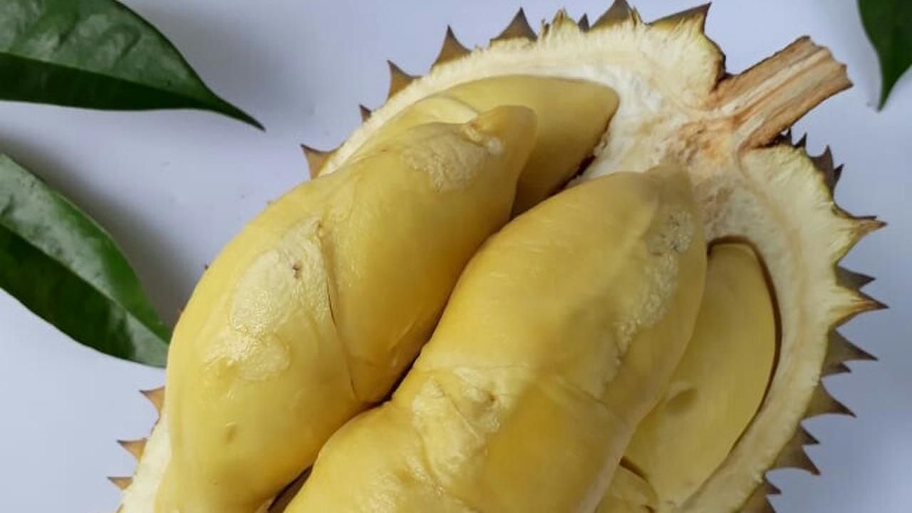 Durian Mimang