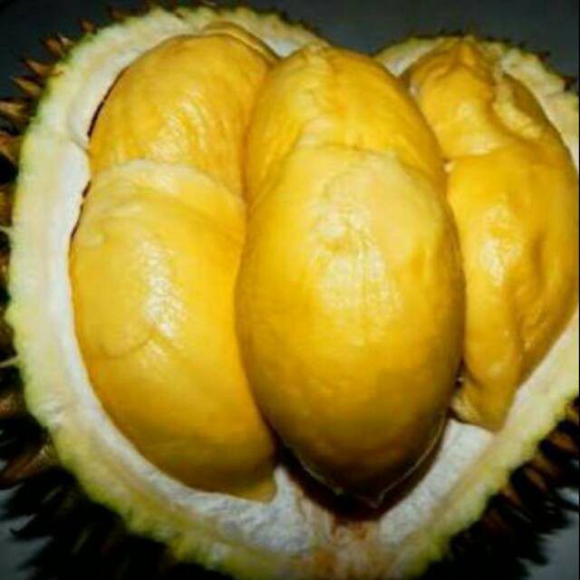 Durian Matahari
