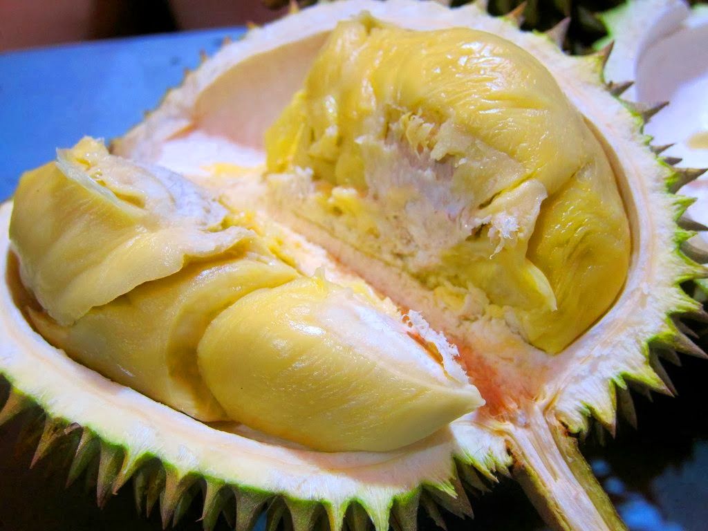 Durian Montong