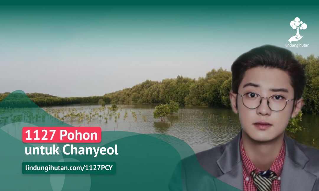 EXO-L Indonesia Tanam 1000 Lebih Pohon Bakau untuk Chanyeol EXO