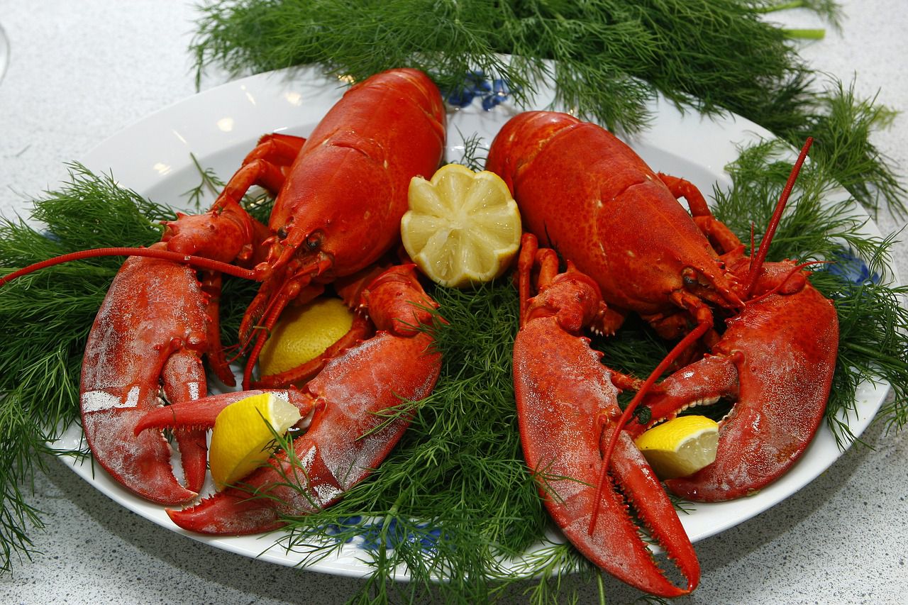 Ilustrasi Lobster