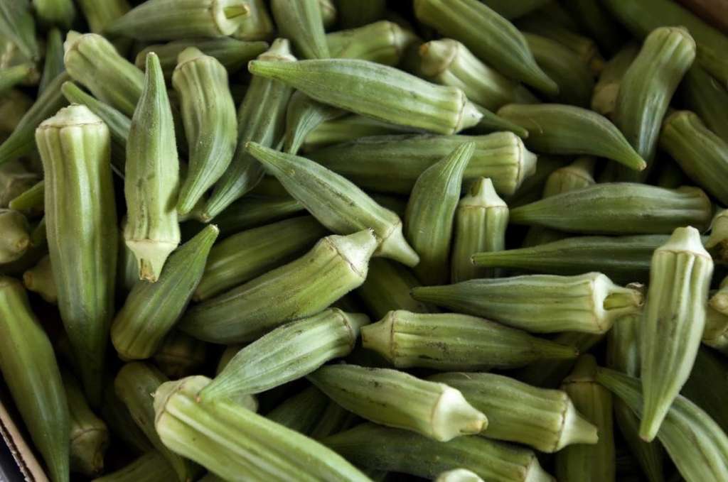 Manfaat Buah Okra