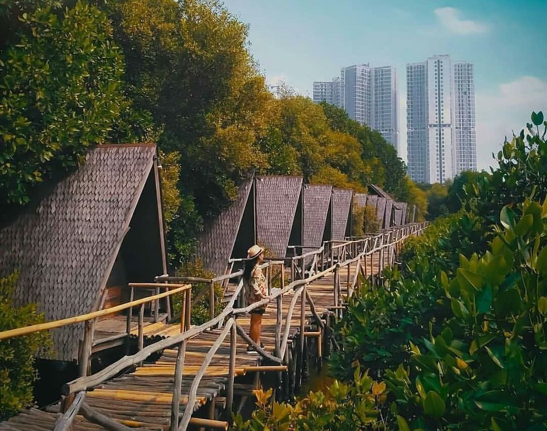 Wisata Alam Jakarta - Hutan Mangrove Pantai Indah Kapuk