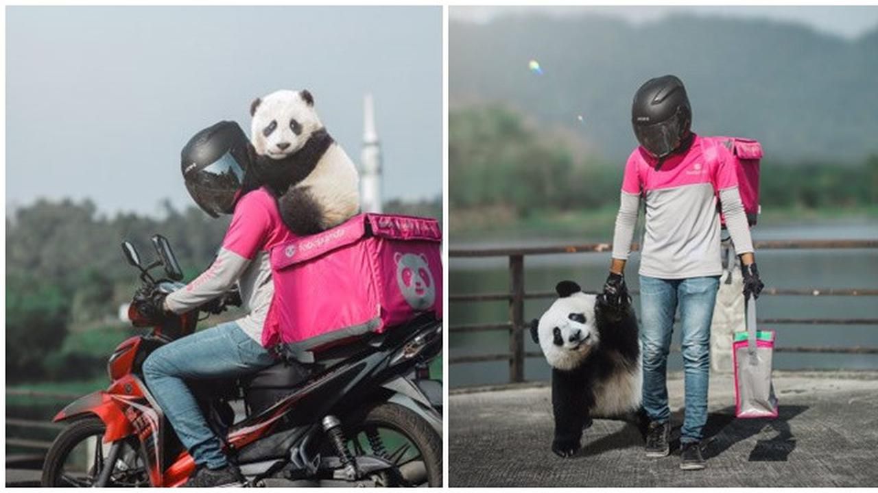 Driver Ojol Bonceng Panda