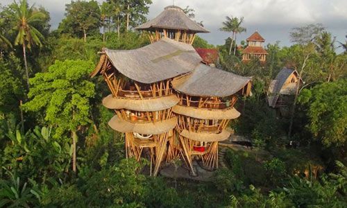 Wisata Unik Bali - Green Village Bali
