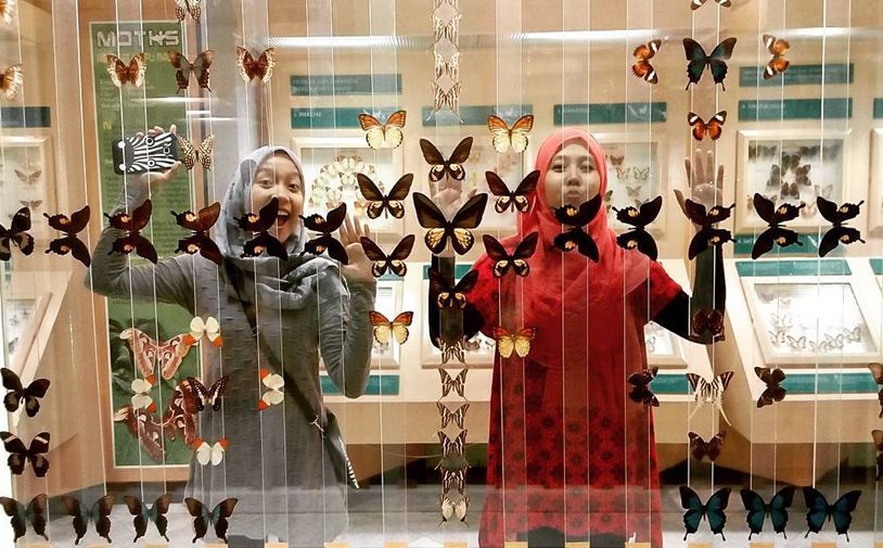 Wisata Jakarta Timur - Museum Serangga dan Kupu-Kupu