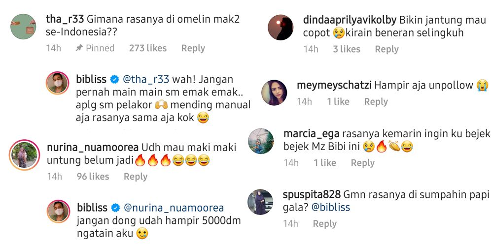 Komentar netizen di instagram Bibi Ardiansyah