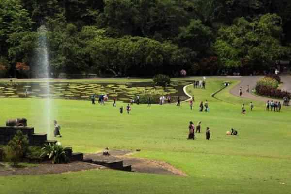 Wisata Alam Jabodetabek - Kebun Raya Bogor